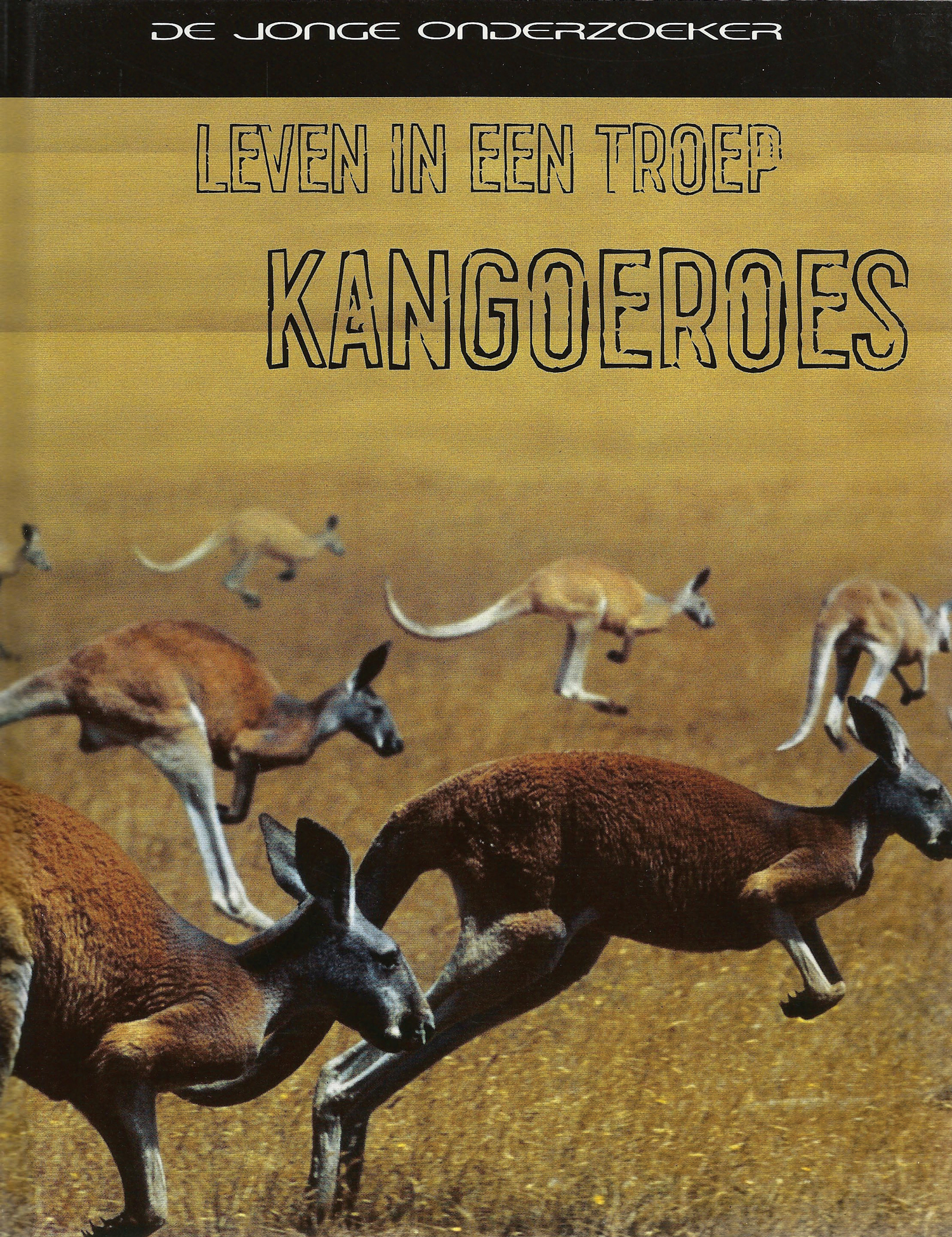 CNBDJO020 Kangoeroes