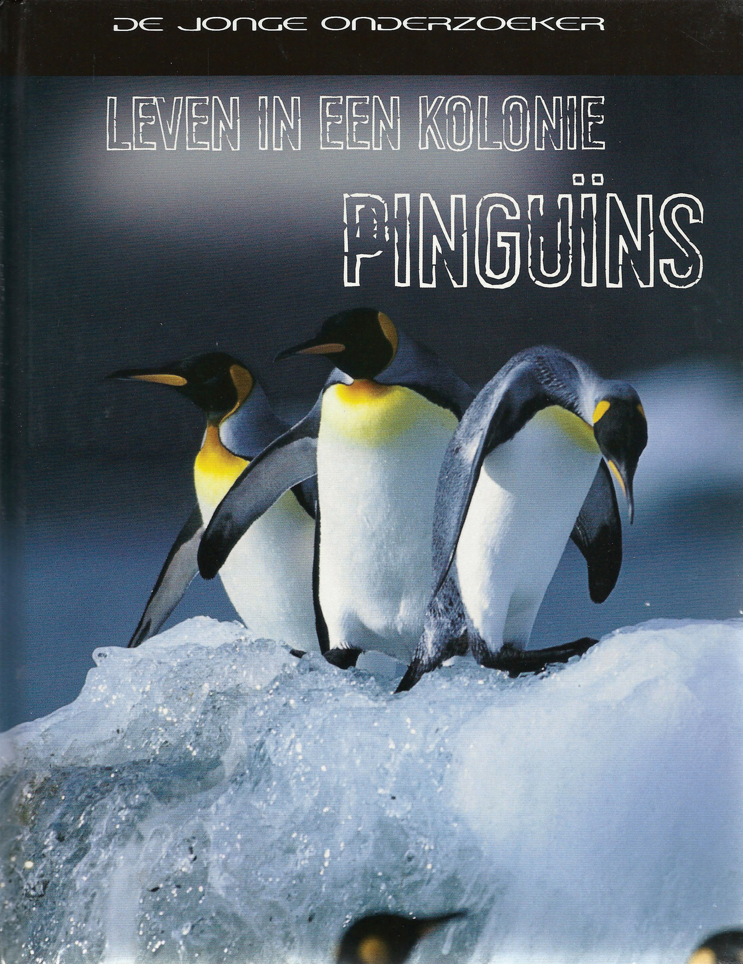 CNBDJO023 Pinguïns