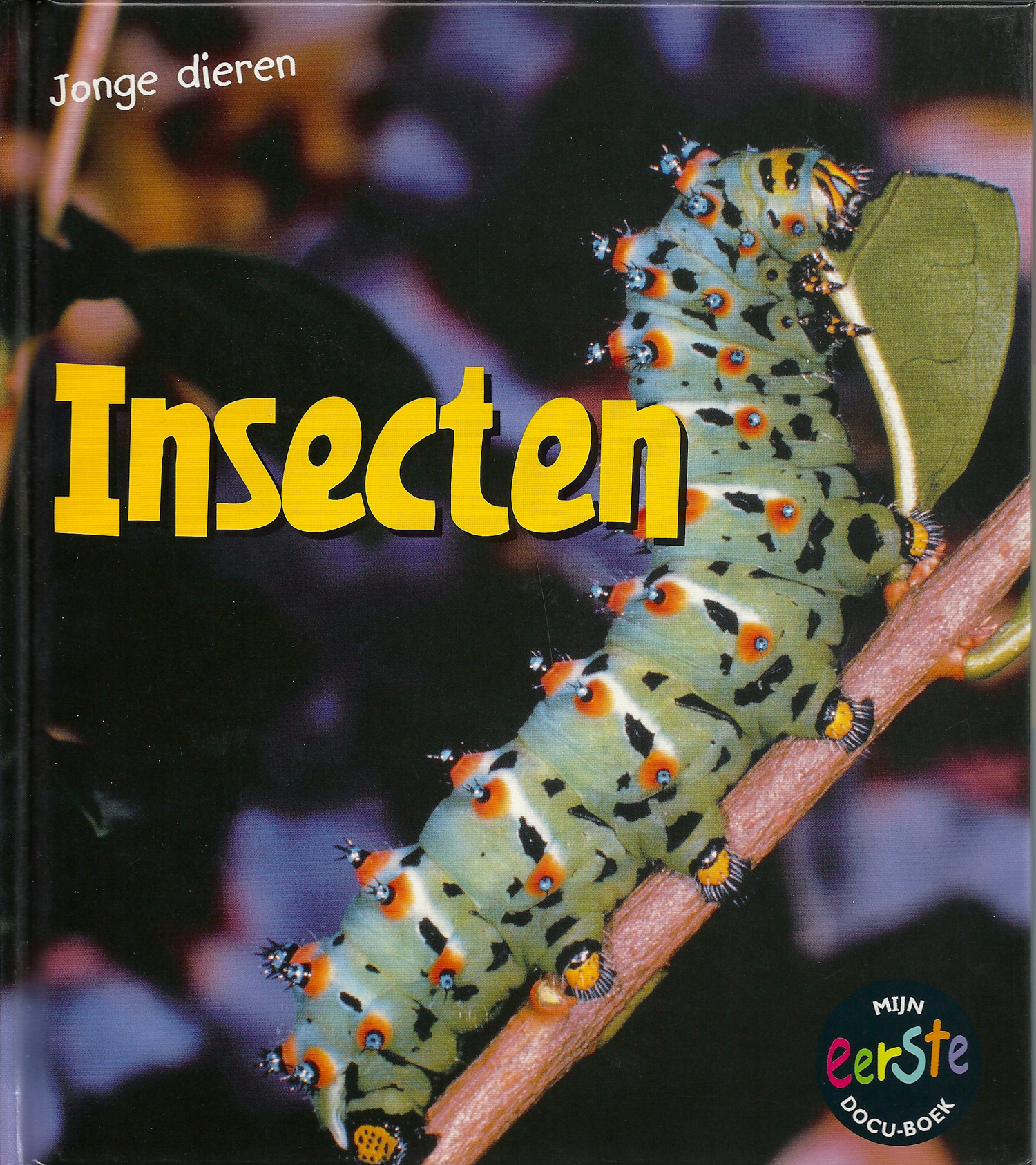 CNBMED112 Insecten