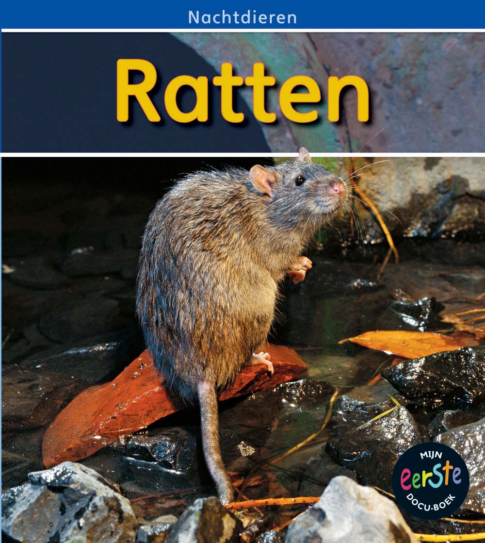 CNBMED185 Ratten
