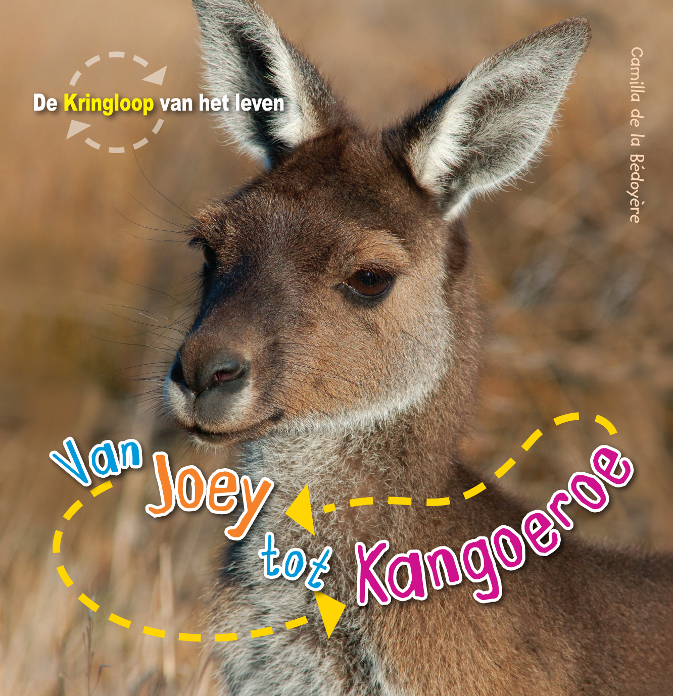 CNBKVL009 Van joey tot kangoeroe