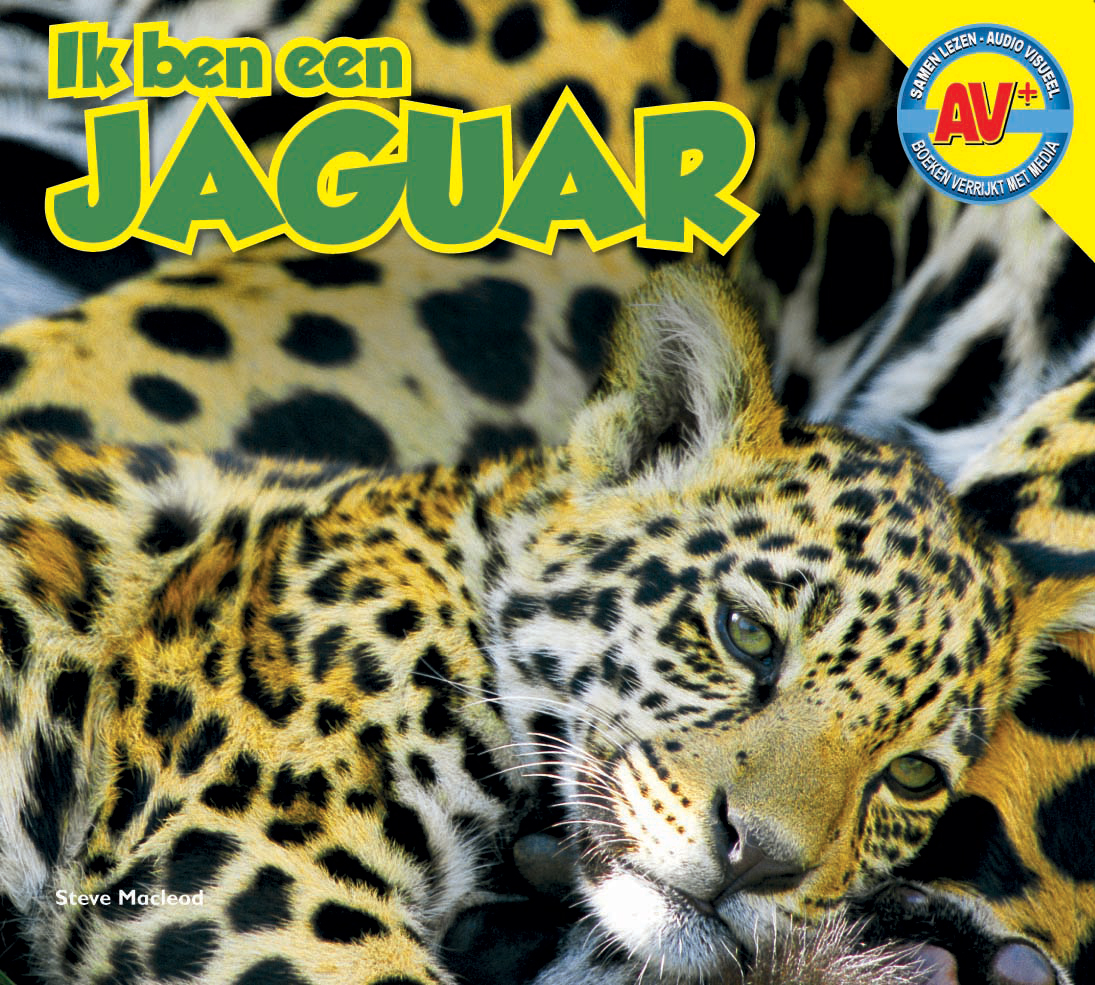 CNBAVP010 Jaguar