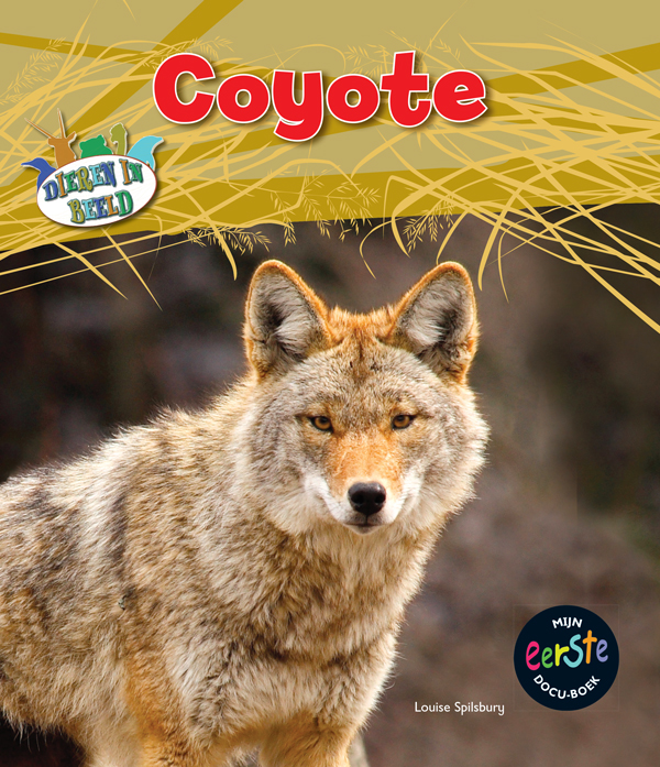 CNBMED051 Coyote