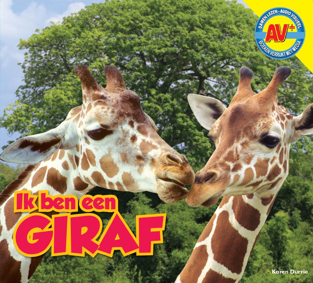 CNBAVP020 Giraf