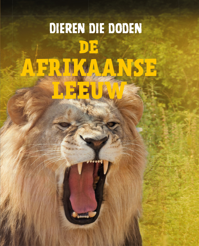 CNBDDD006 De Afrikaanse leeuw