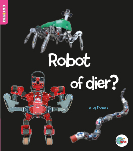 CNBIDR037 Robot of dier