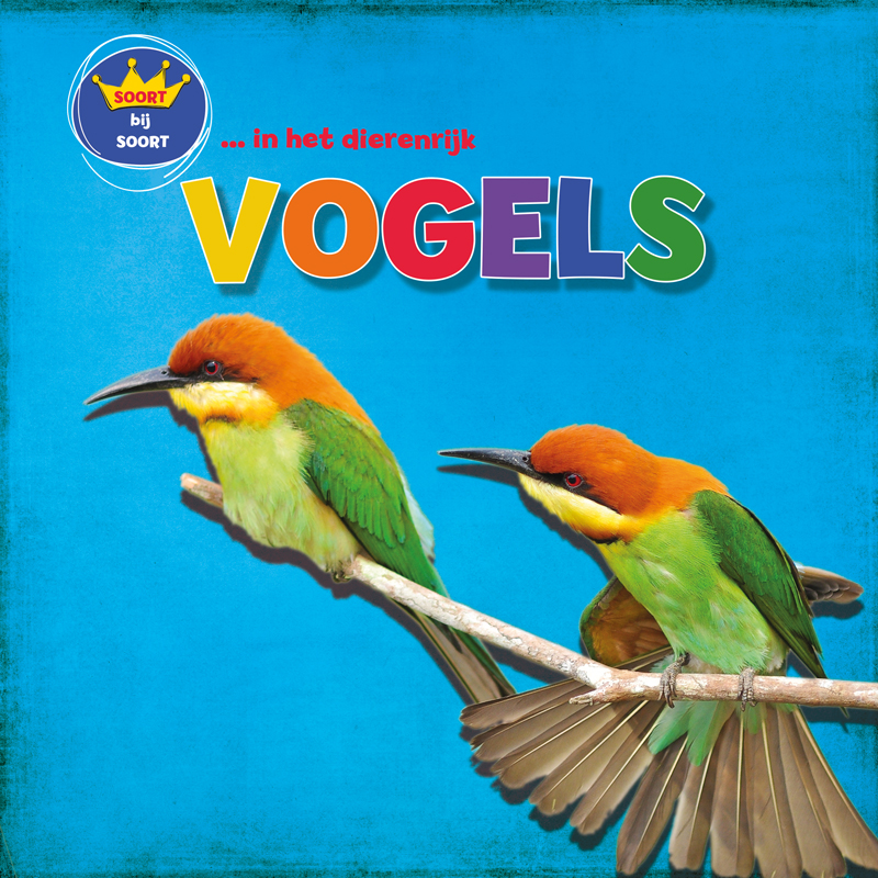 CNBSBS002 Vogels