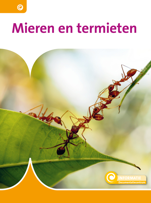 DNBINF107 Mieren en termieten