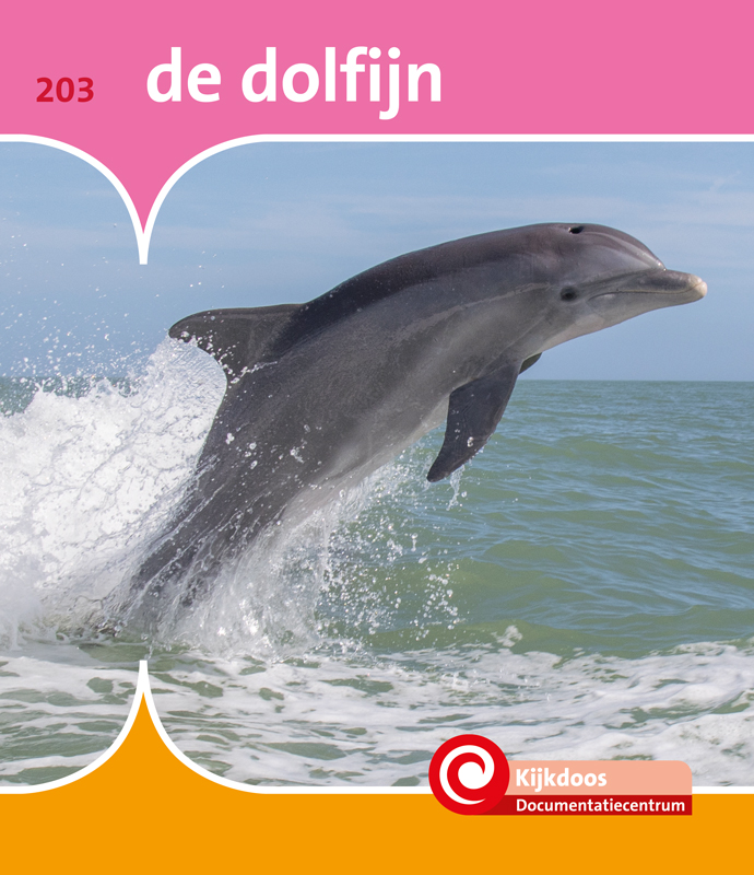 DNBKYK203 dolfijn