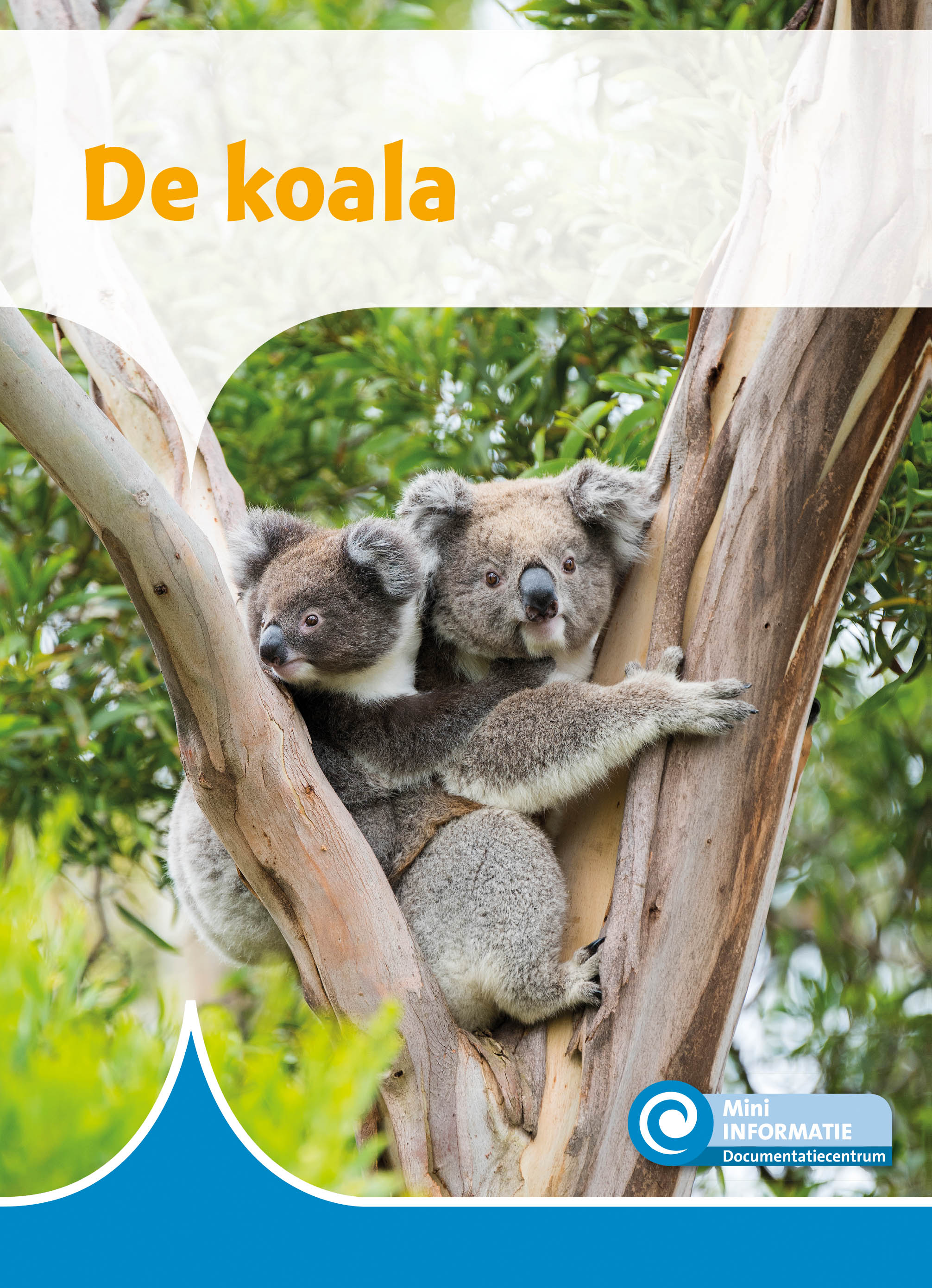 DNBMIN486 de Koala